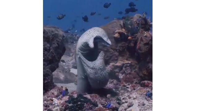 �㤷���臘2ɤ�Υ��ĥܡ��ɤ�����礭�������Ϥ�����