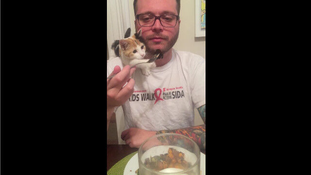 �˺��ΰ�⡪��������ܤ���ǭ����Ρ�����ʪ�κ���ǭ�ѥ��