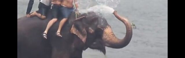 ɡӤ륷ϡäѤإǤʤ