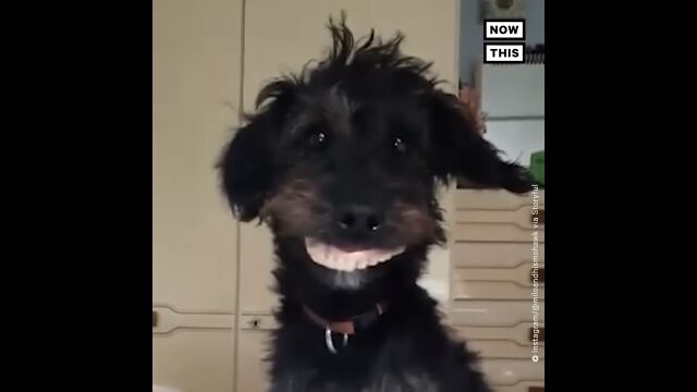 ��������������Υޥ������������餷���д�ǻ���������Ф�����