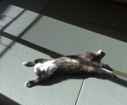 Τξ塢ĸǤҤʤܤäǭΤޤ