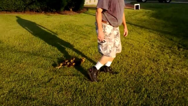 13���λҥ���˿�ǧ�ꤵ��Ƥ뤪�ä������ޤ���