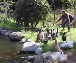 Ӥ򸫤ΤθޤƽƱˤҥ뤿