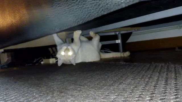 �岼�դ��ޤǤ��ε�ư�ϡ��٥åɤβ����ðۤʰ�ư�򤹤�ǭ