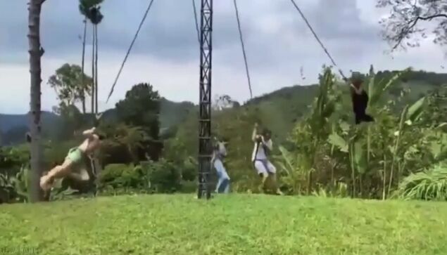 �����פˤ֤鲼���ä���μ���򥰥륰�����žͷ�񡩤��ڤ�����