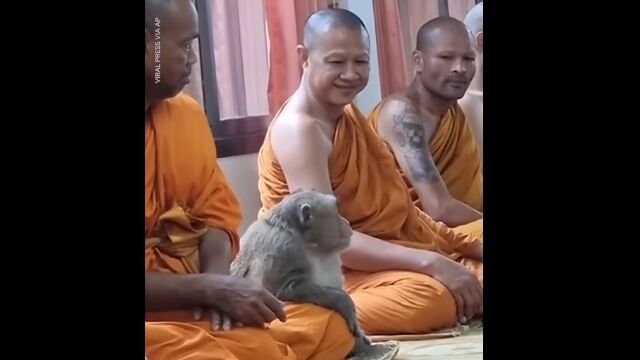 ��η�������Ϥ����ॵ�롣������ʩ�������ǻ��Ƥ��줿���Фޤ�������