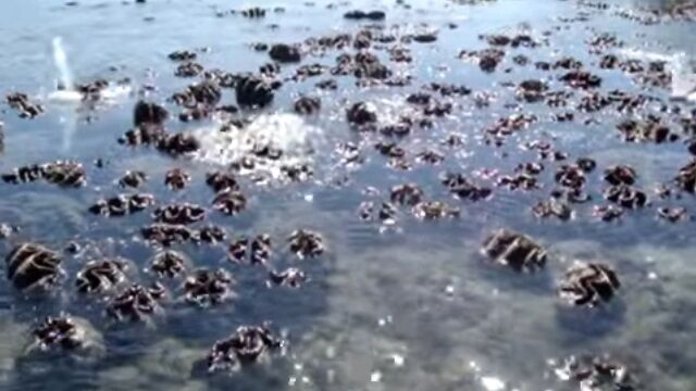 äѤĬʮ夲롢㥳Ҥ᤭礦