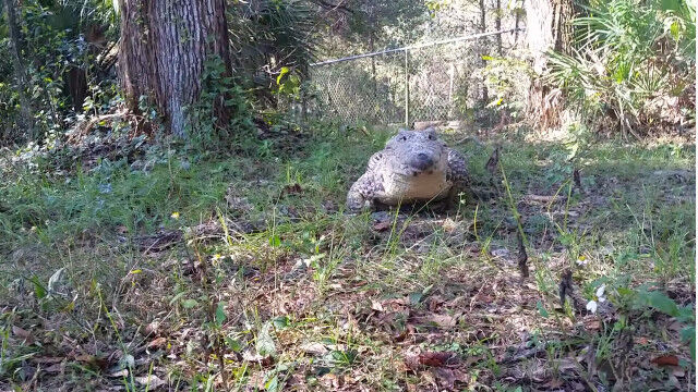 ̾����Ƥ֤ȶ�Ƥ����ˡ������ʸ��ߤ����ǲİ���