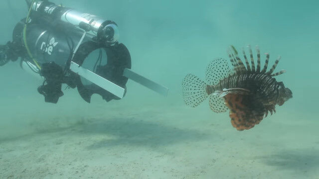 ���󥴾̤��˲��ˤĤʤ������ʳ����ߥΥ������������뤿��˺��줿���ܥå�