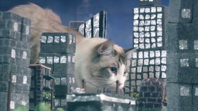 �������궯���Ʋİ�������åȥ��餬���줿���ĤȤ������硼�ȥࡼ�ӡ���Catzilla