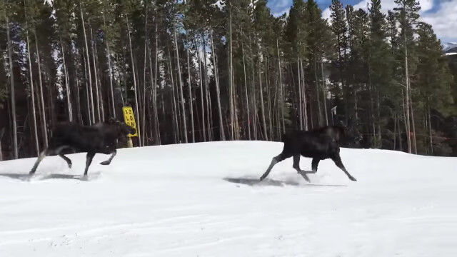 ��������������Υإ饸�������������ʤ��黣�Ƥ��������Ρ��ܡ���������α���