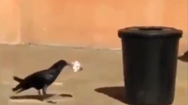 ���ߤϽ��äƥ���Ȣ�ء�������ݽ����Ƥ���븭�����饹