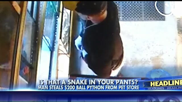 その発想はなかった。ヘビを自分のズボンに突っ込み、盗み出した万引き犯