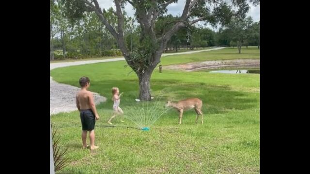 ���ˤ�äƤ����Ҽ����ʹ֤λҤɤ⤿���Ȱ��˥��ץ�󥯥顼��ڤ���