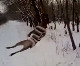 ���餤�Ĥ�����Υ���ʤ����ԥåȥ֥�Τ֤鲼�������ž