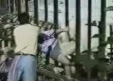quackedwomanattackedbypolarbear
