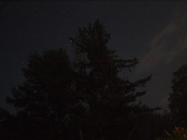 1692a77e.jpg