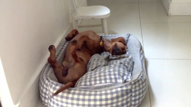 ������̴�򸫤Ƥ���˰㤤�ʤ������å����ե�ɤΥե�󥯤���