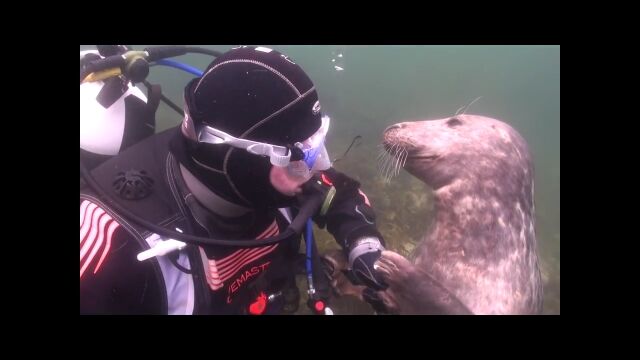 ʤȤ갦äפꡪСȥ㥤㤷ޤ륷꡼Υϥ饷