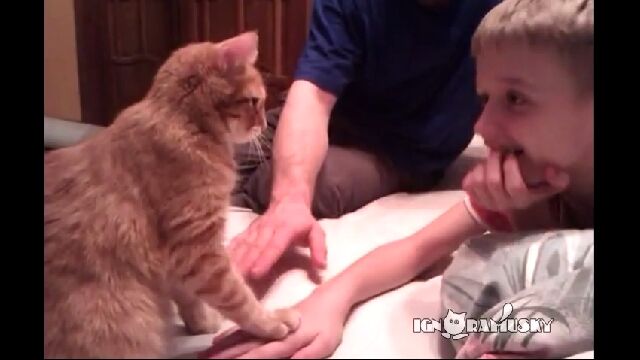 �ʹ֤�����˼��ư�������Ȥ������ǭ