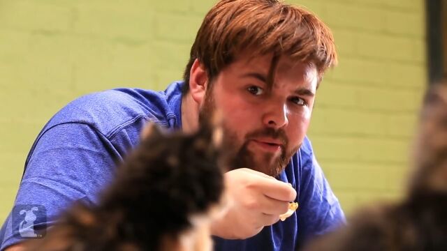瞬間移動し、天候を操る。子猫たちがスーパーパワーを扱う、子猫版のX-MEN