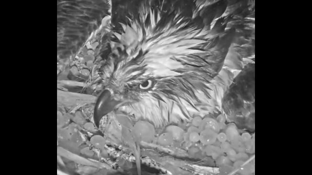 ߤߤޤǤʤ顢겹³ߥ