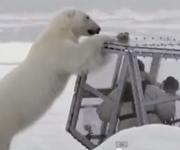 Υۥå祯ޤܤɡ衪饹ĥξʪ֥塼֡פ֤Ƥ