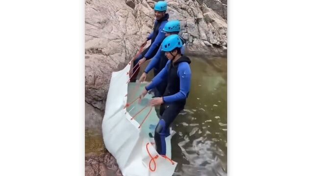 �ݤ����ɳڤ���������ο�򤻤��ߤ��ͷ�֡�ŷ���Υ������������饤����