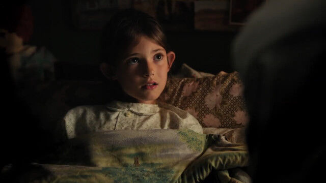 ̼�֥��������åȤ˲�ʪ������Ρץѥѡֲ�ʪ�ʤ�Ƥ��ʤ���ס��ۥ顼���˻�Ω�Ƥ������������ؤηپ�