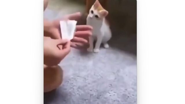 ɤǭ⡢ʤԻ׵Ĥˤ϶ä餷