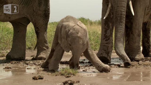 ����ʤ��̤���ߤ˻Ͷ�Ȭ�졣��ĥ�ä��⤯�������֤����