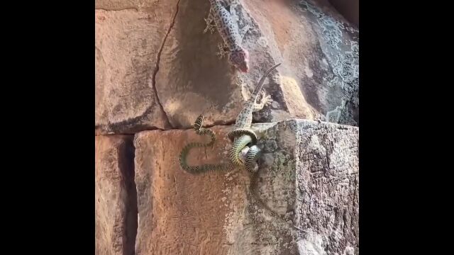 ȥӥإӤߤĤ֤̿̿ǵߤ