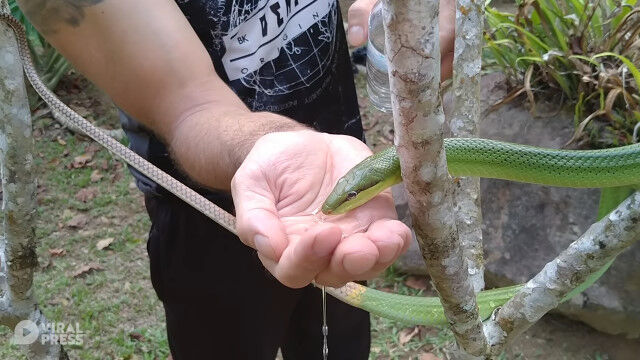 ���ӥ��ӡ������������ճ��Ȥ��ä��������إӤ������İ���