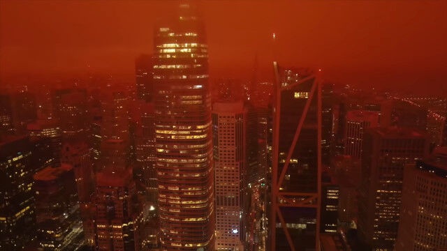 ���ӲкҤˤ�ä��֤����ޤä�����ե�󥷥����γ����֥졼�ɥ��ʡ�����������������ʤΤ褦���������