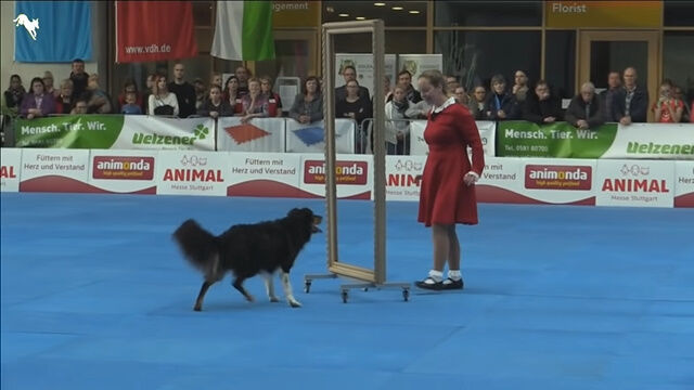 碌ɽϤ餷ɥå󥹥硼ǤΥѥեޥ