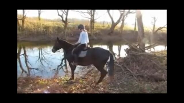 �֤ۤ��ݤ��ʤ���ġġ��ϤȰ�������Ϥ����Ȼפä����Ф���θ���