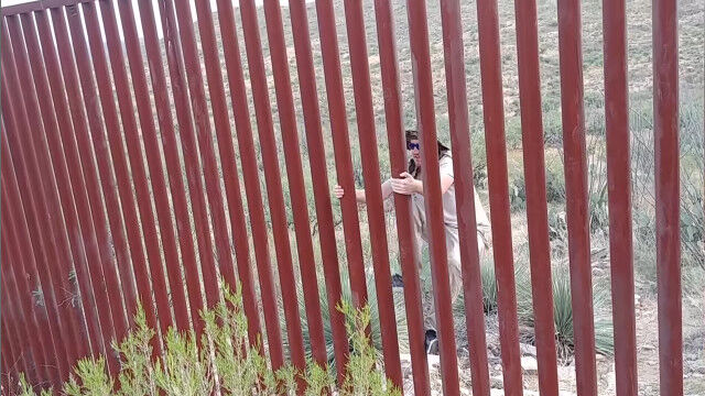 道具を使わず身一つで、アメリカ=メキシコ国境を越える方法を実践してみせる男