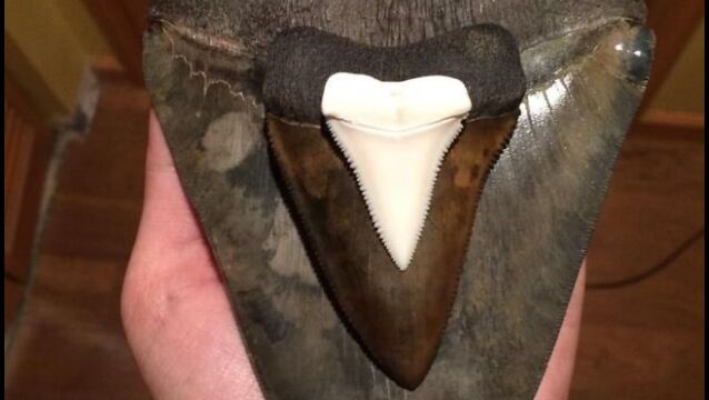 ᥬɥλβС16.71ˡۥۥλβС8.08ˡΥۥۥλ2.84