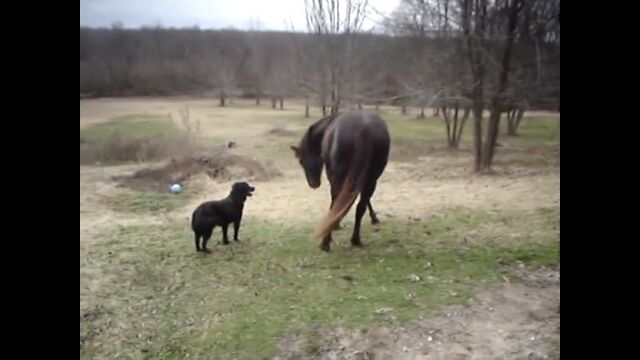 �����Ϥ����ɤ�ͷ�֡����Υ롼�������ϤΥ����������֥饦��