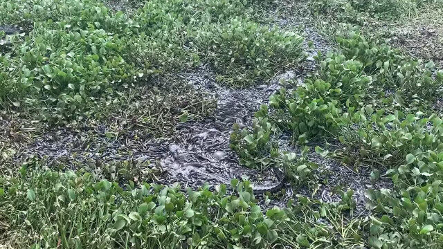 �ڱ������աۤ����᤯���̤Υʥޥ����������줿���˿������ˤ������ƥե������