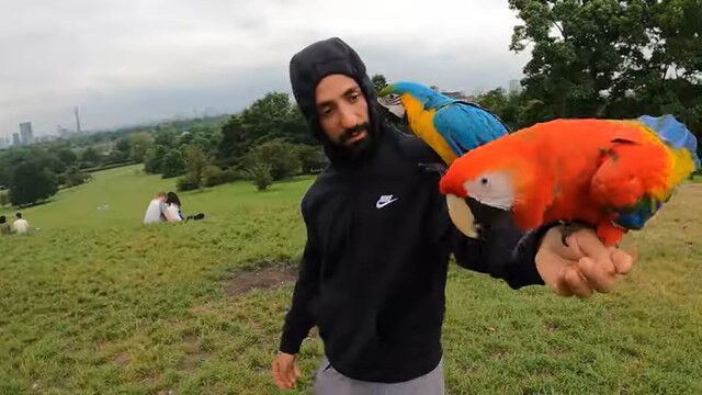 2Υ󥴥󥳤򸪤˾褻Ƽž֤ǸءޤФ뤪