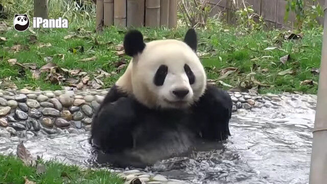 ����Ϥ�Ǥ�ä���Τ�Ӥꤷ�Ƥ���褦�ʥѥ�����������餷��������