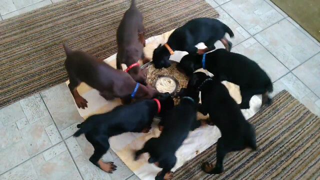 ��ž���ʤ��饨�����Ť�7ɤ�θ�