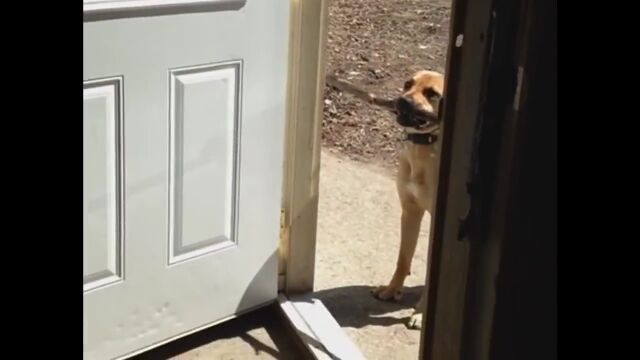 ������äƵ��ꤿ���Τˡ������ʤ������˹Ԥ�����ˤޤ캤�Ǥ��븤