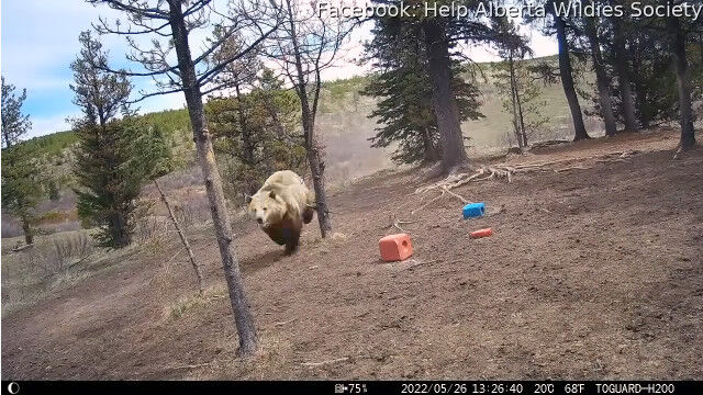 �����Ϥη����ϥ��������ޤ��ɤ������롢���ʥ��ǻ��Ƥ��줿����