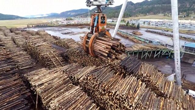 丸太が木材に変わるまで。製材所の工程を最初から最後までじっくり追った映像