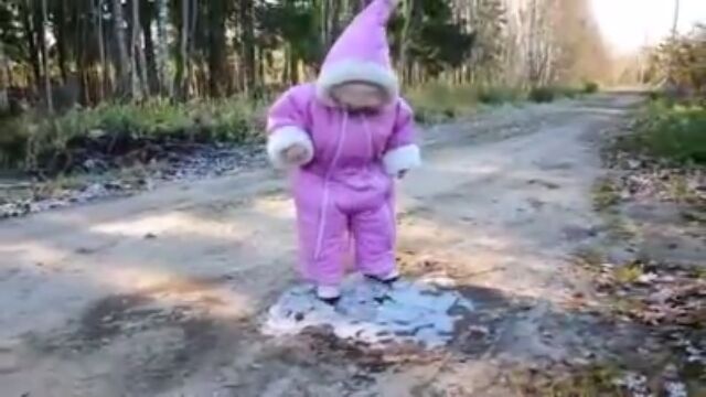 ��ä��夿�ޤ�ξ���⤯�֤�����ư�����İ�������