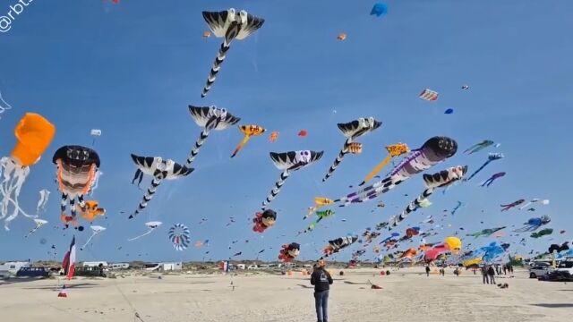 2万5千もの凧があがる、デンマーク、ファーン島の凧揚げ祭