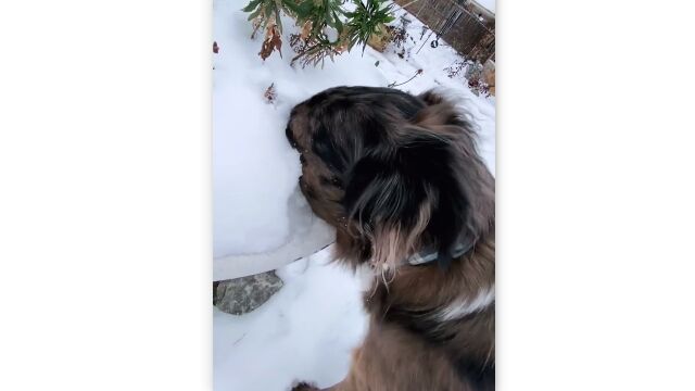 ���ޤ�ƽ��Ƥ�����Ѥ�ä���ˡ�Ǵ�ǽ���븤