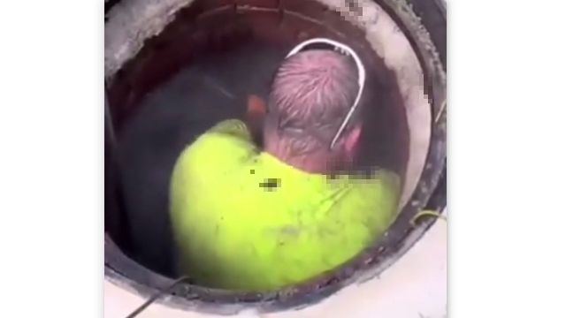 ڱա礤르֥ʪȤ⤻Ư